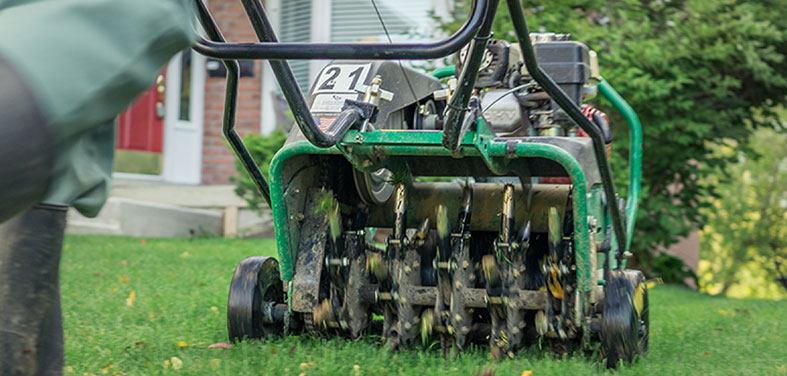 Lawn Aeration